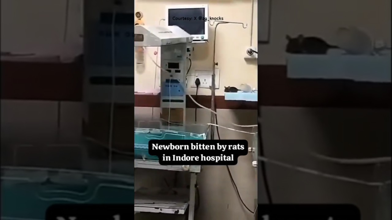 Shocking| 2 Newborns Bitten By Rats At Indore's MY Hospital| #viralvideo #shorts #madhyapradesh