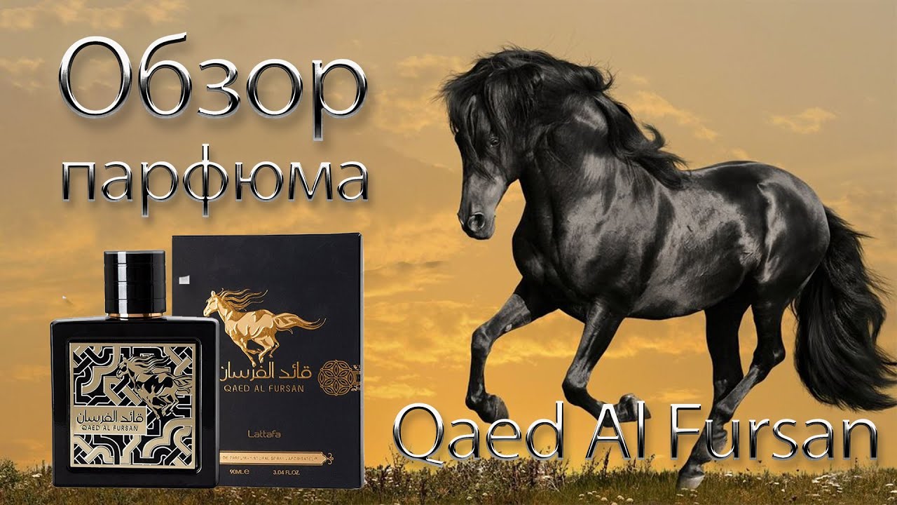 Qaed Al Fursan - полный обзор