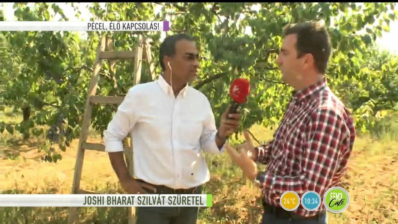 Ezért egyél szilvát minden nap!-2015.09.01.-tv2.hu/fem3cafe