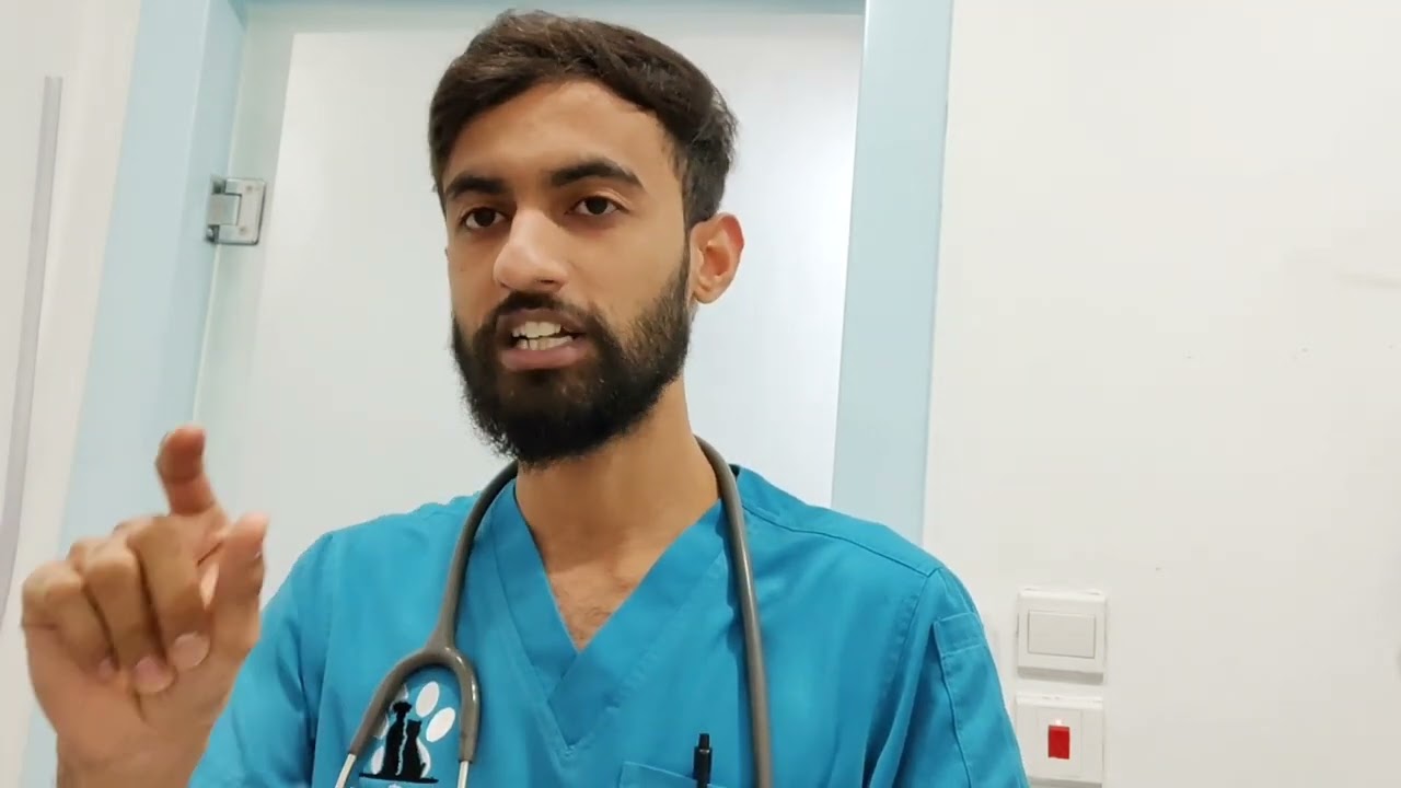 Internship Opportunities for Veterinary Students in Dubai & Saudi Arabia #veterinarian #internship