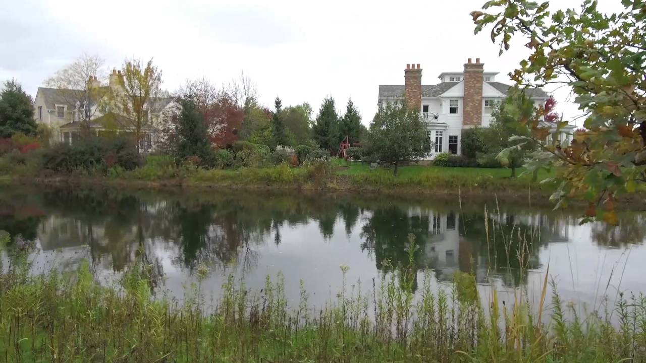 DJI Osmo+  -  Middlefork Savanna, Lake Forest, IL