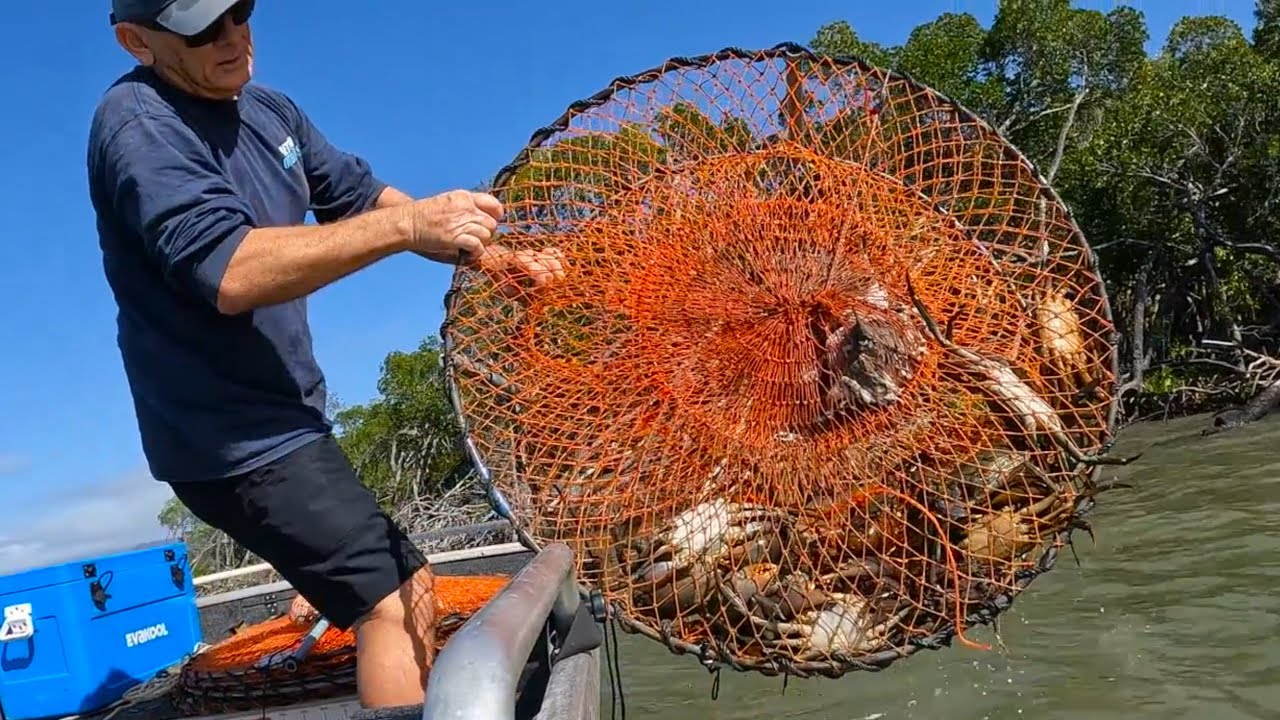 BIG CRAB CATCH | Catching heaps of MUD CRABS | Cooking Crabs