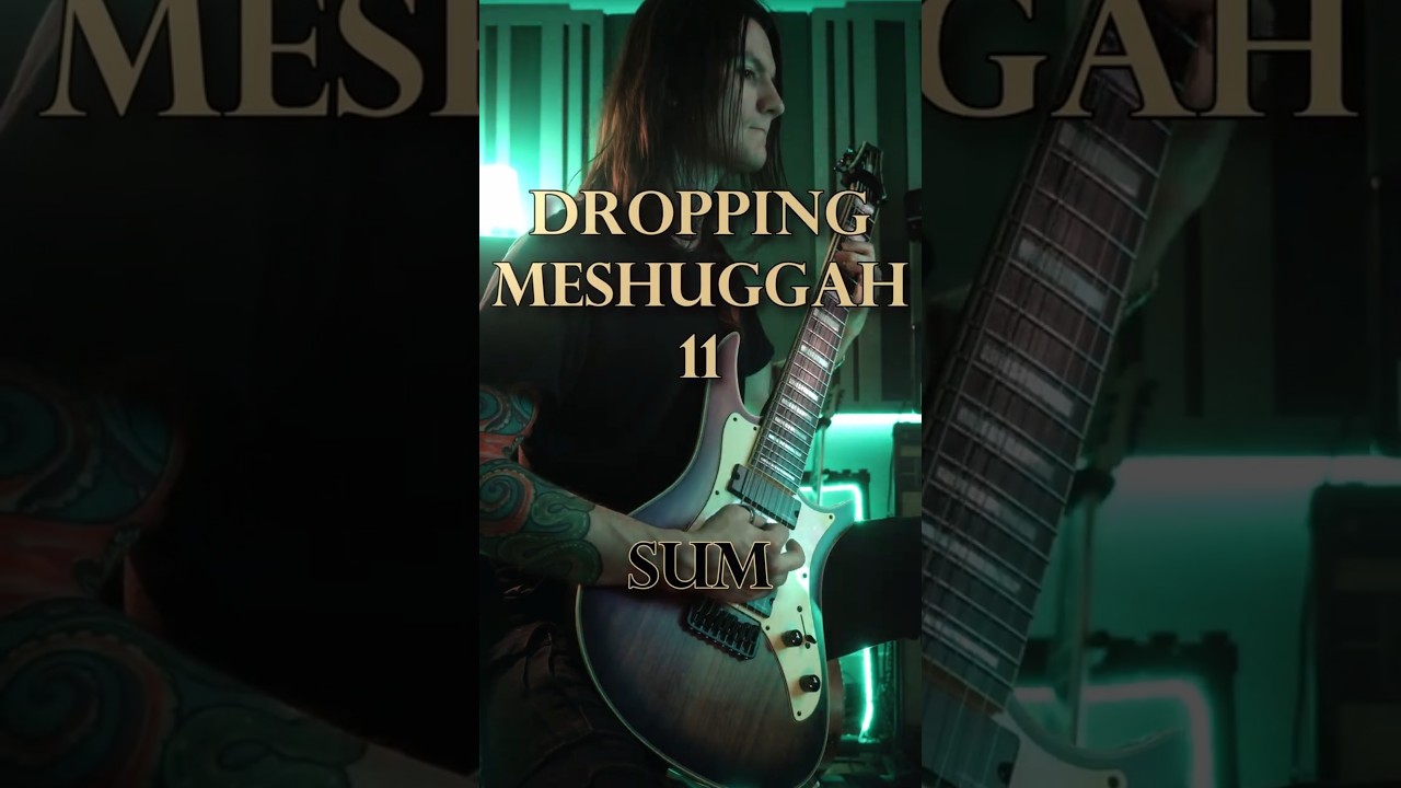 Dropping @meshuggah 11: Sum. DI's and custom Stems available in my bio.