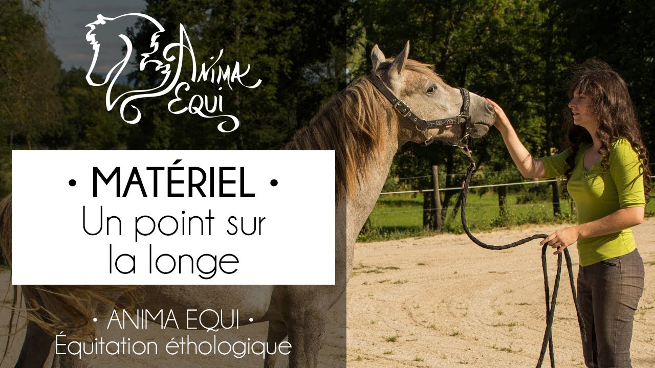 • MATÉRIEL • Un point sur la longe