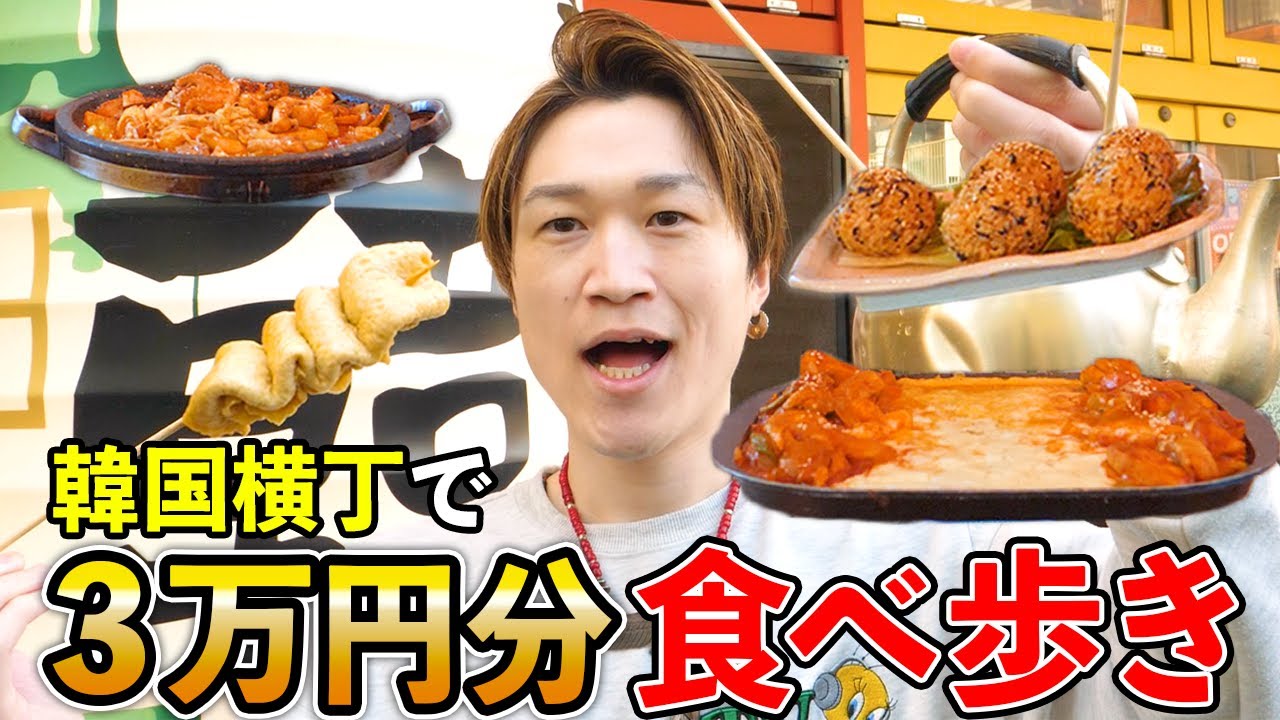 【大食い】新大久保企画第2弾‼️韓国横丁で過去最高の3万円分食べ尽くせ！【ぞうさんパクパク】【韓国横丁】【新大久保】