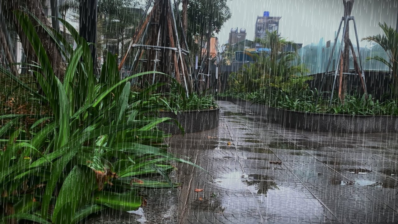Rain and Thunder Sounds for Deep Sleep │ Relaxing Thunderstorm │ White Noise