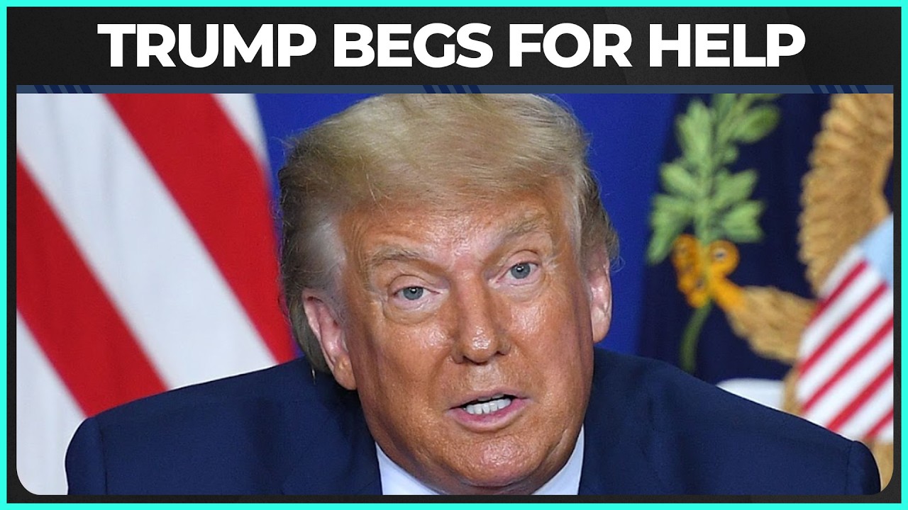 Трамп умоляет союзников о помощи в Ормузском проливе.