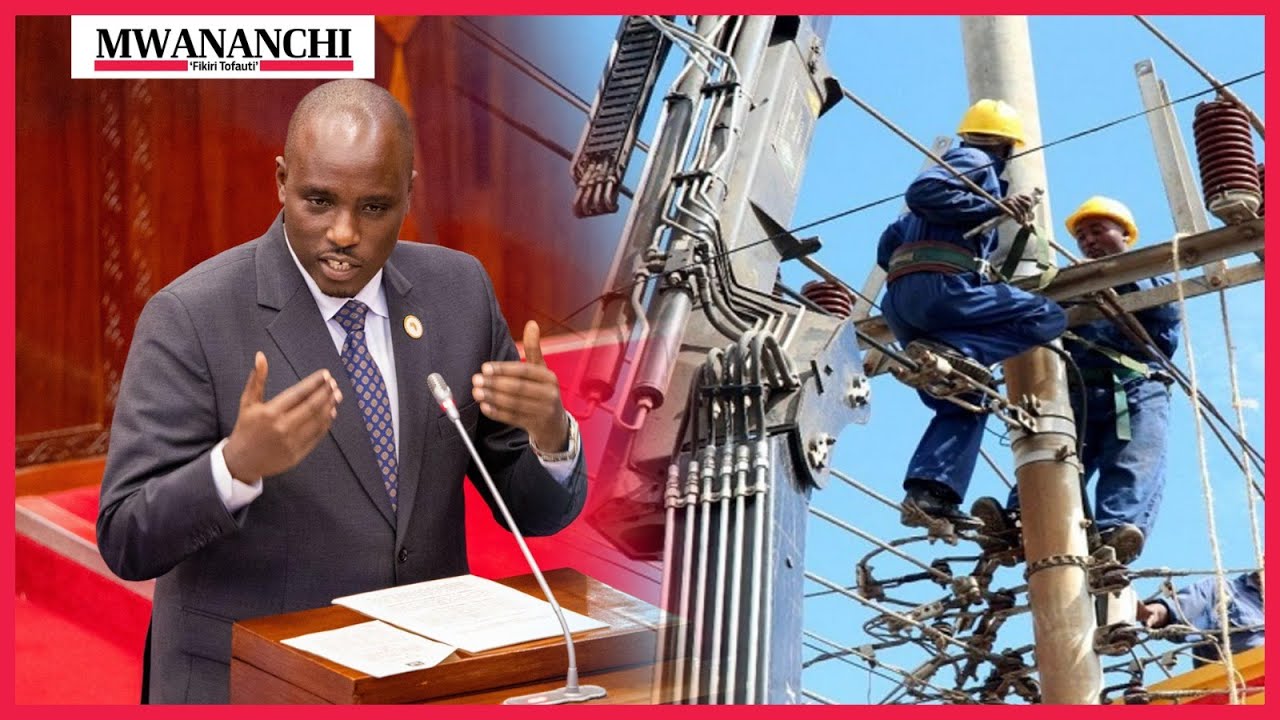 BITEKO ALETA KICHEKO KWA WATANZANIA GHARAMA ZA UMEME KUPITIWA UPYA  NCHINI