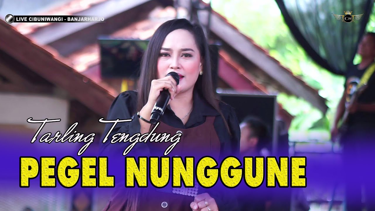 PEGEL NUNGGUNE ~ TENGDUNG // CITRA NADA LIVE DESA CIBUNIWANGI // KEC.BANJARHARJO - KAB.BREBES