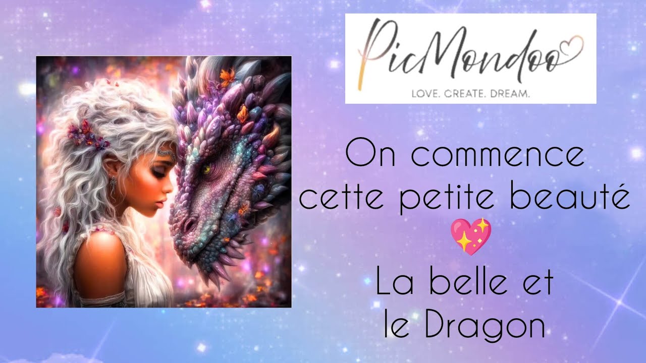 💖 La belle et le Dragon 💖 #diamondpainting #picmondoo #blabla #peinturediamant 