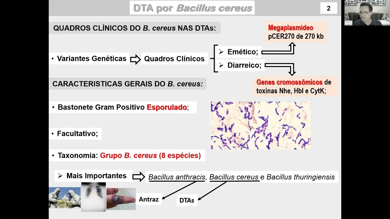 Aula 23 1  DTA por Bacillus cereus