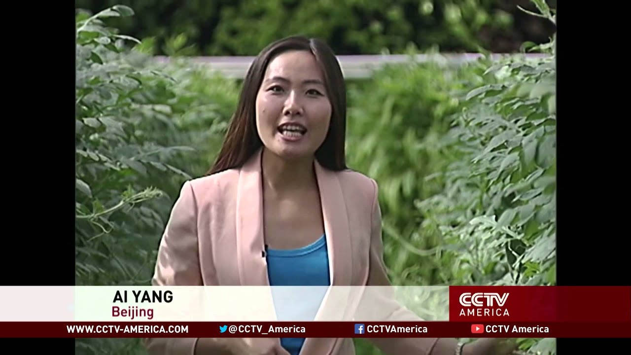 World Seed Congress Kicks Off in China