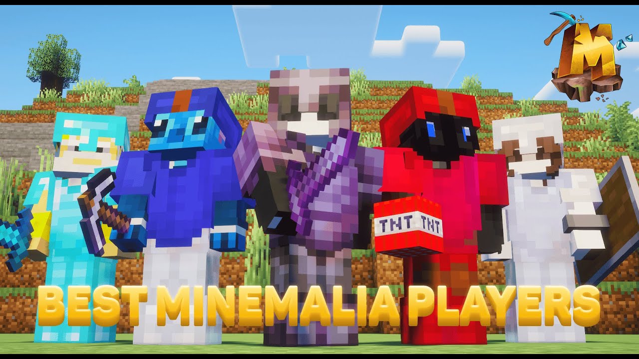 Best Minemalia Players Of All Time