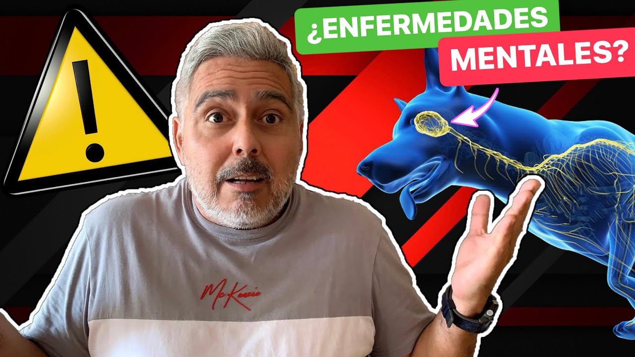 ENFERMEDADES MENTALES EN LOS PERROS ⚠️