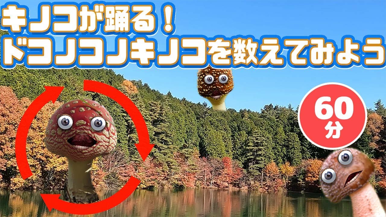キノコが踊る!ドコノコノキノコとどこのこのきのこ山で数を数えてみよう！その他60分メドレー！【いないいないばあ・おかあさんといっしょ・子供の歌・赤ちゃん喜ぶ】