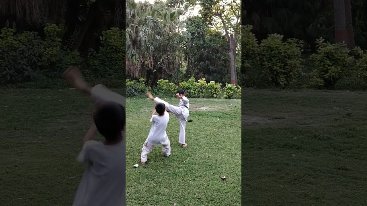 Road Fight #bhartiya #indian #karate #tamo #viral #shorts #sports #fighter