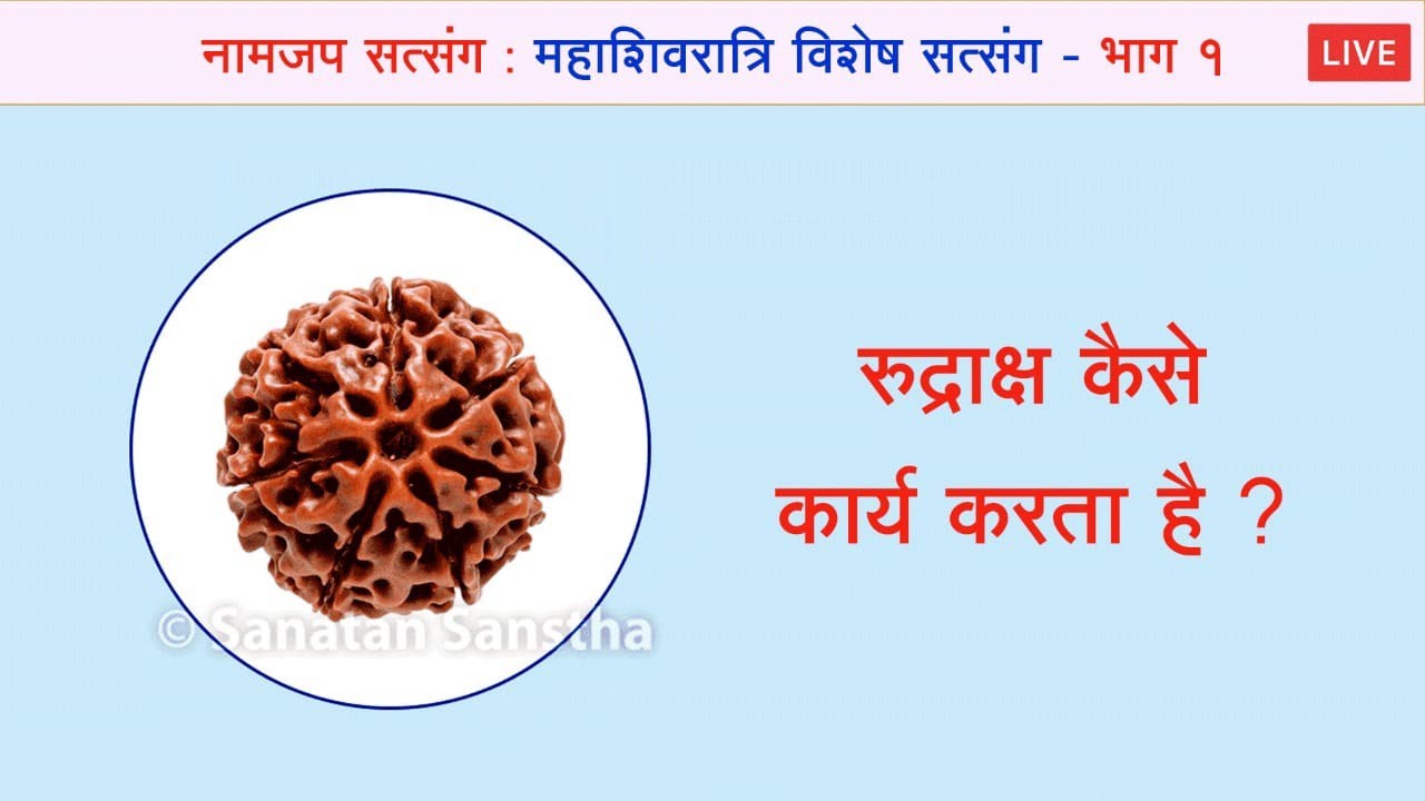 🌸 नामजप सत्संग : महाशिवरात्रि विशेष सत्संग (भाग 1) (पुनर्प्रसारण)