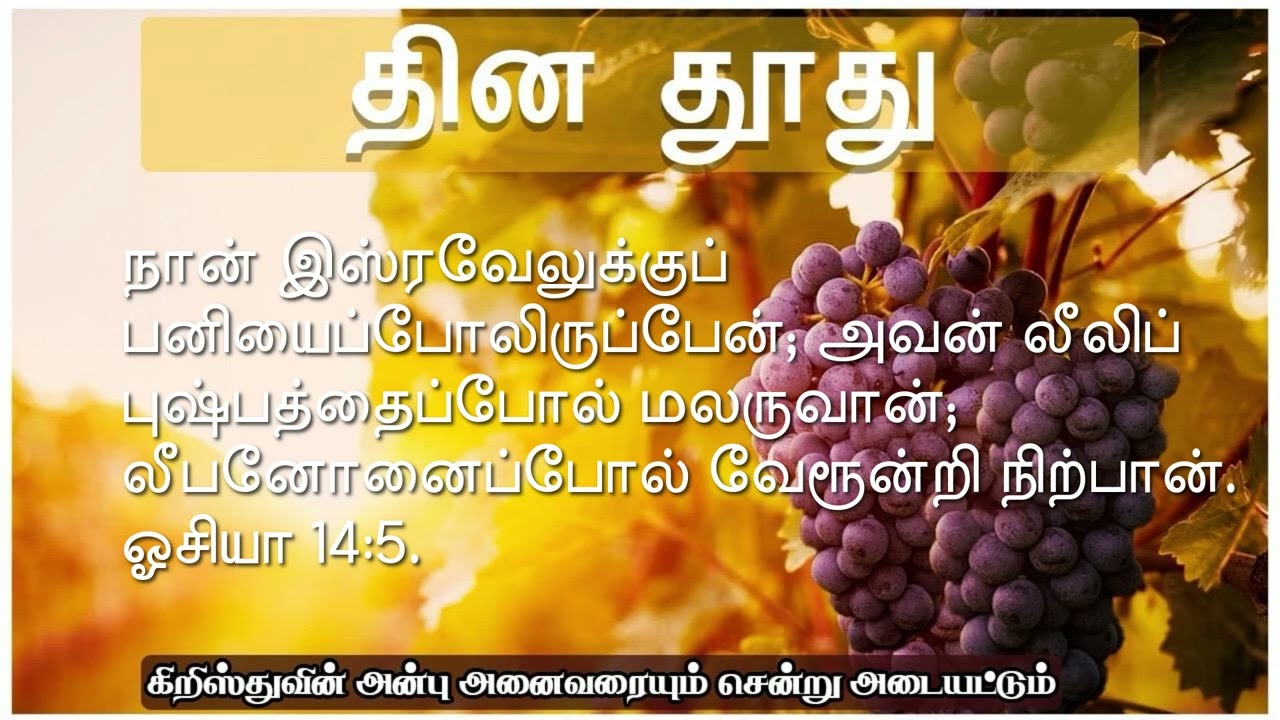 தேவன் உங்களை பெருகப் பண்ணுவார்!-தின தூது - 23.01.2026- சகோ. ஏஞ்சலின் ஜோசப்.