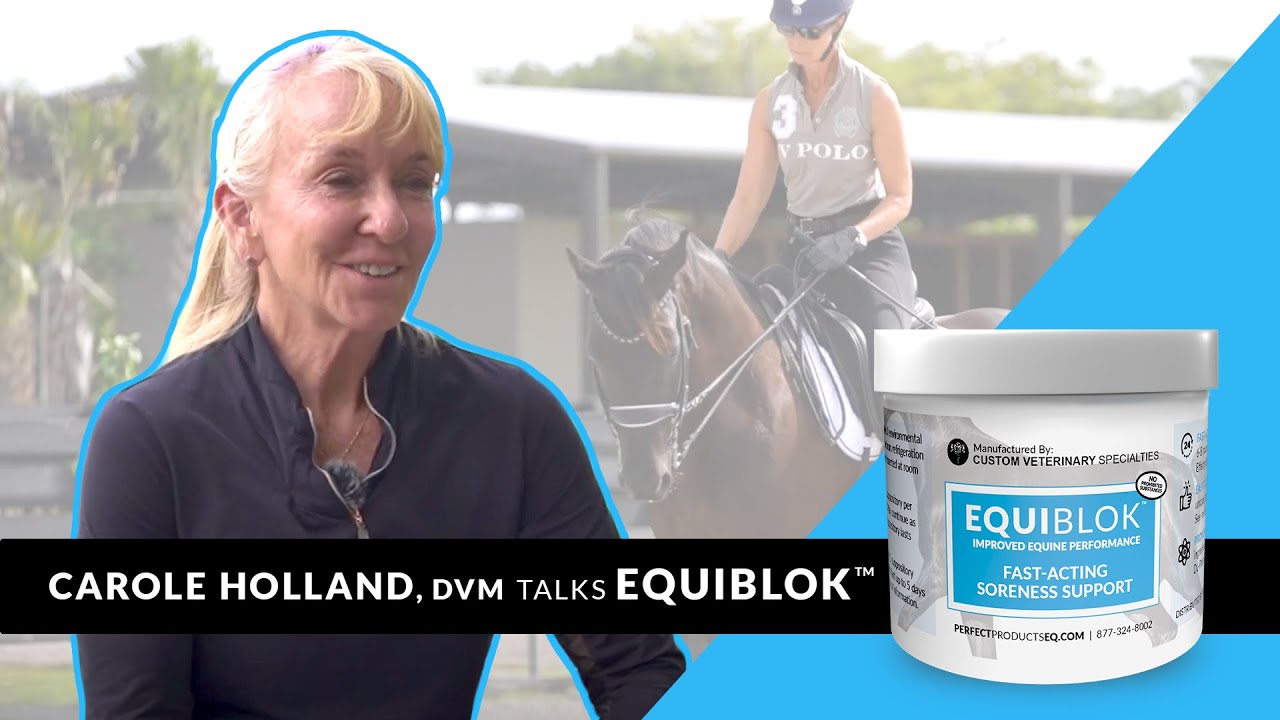 Veterinarian Dr. Carole Holland Describes EquiBlok™ Results