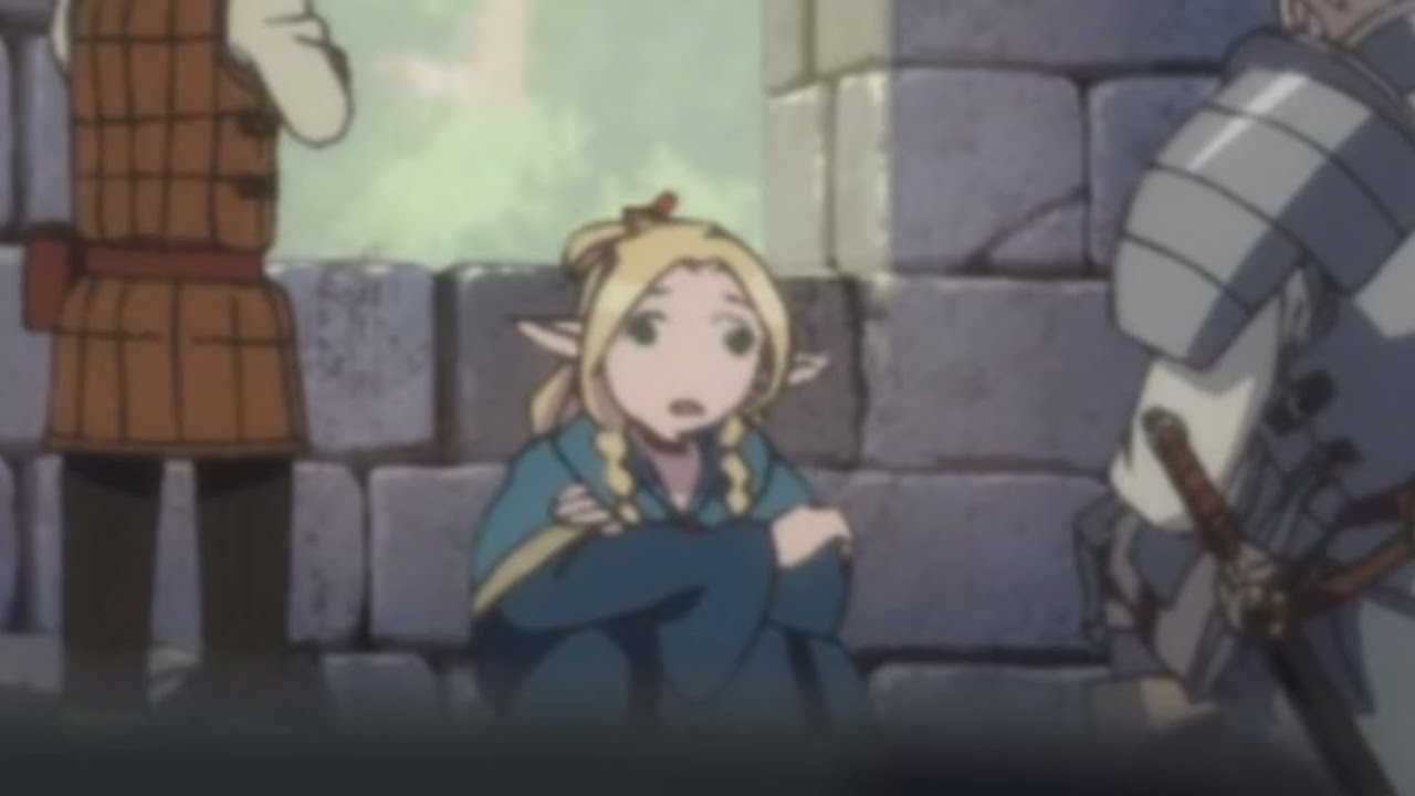 Dumb brain damaged elf Marcille | dungeon meshi