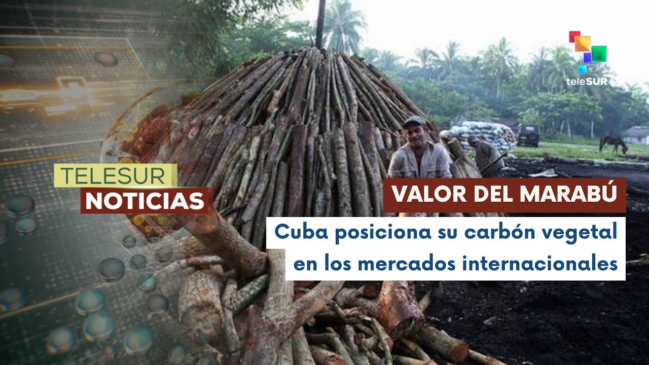El carbón vegetal desafía el bloqueo en Cuba