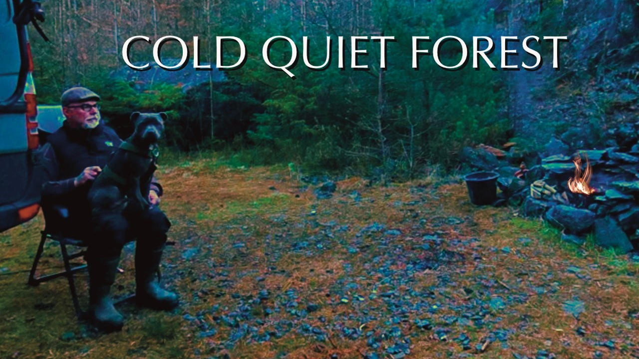 A Cold Night Alone Van Camping in the Forest  With My Dog