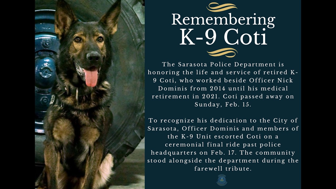 Feb. 17, 2026: Final Farewell to Retired Sarasota Police K-9 Coti