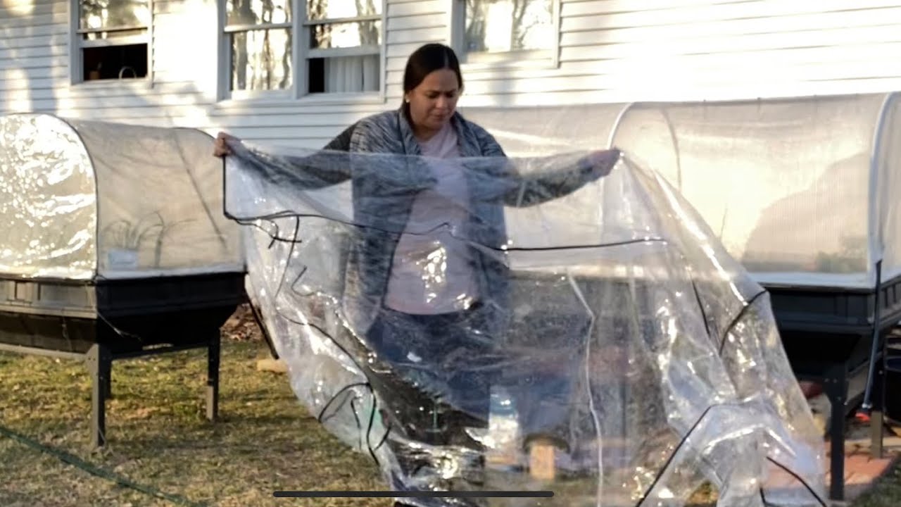 How I prep Vegepod for Early Spring