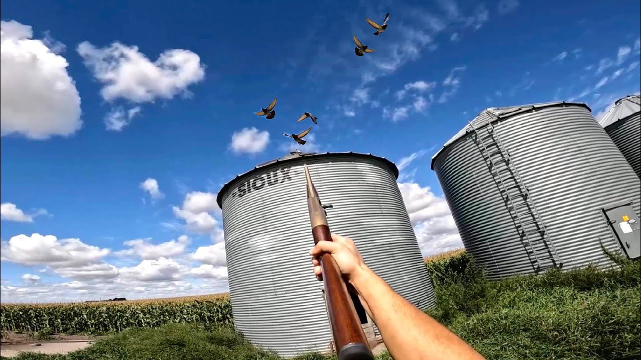 The BEST Hunting Shotgun for $300? (Pigeon Hunting)