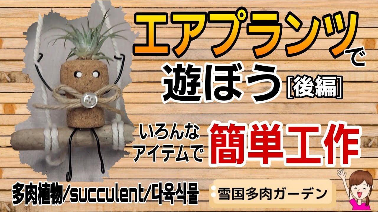エアプランツで遊ぼう/後編　いろんなアイテムを使って工作　2026年2月21日　＃雪国多肉ガーデン #チランジア ＃簡単工作