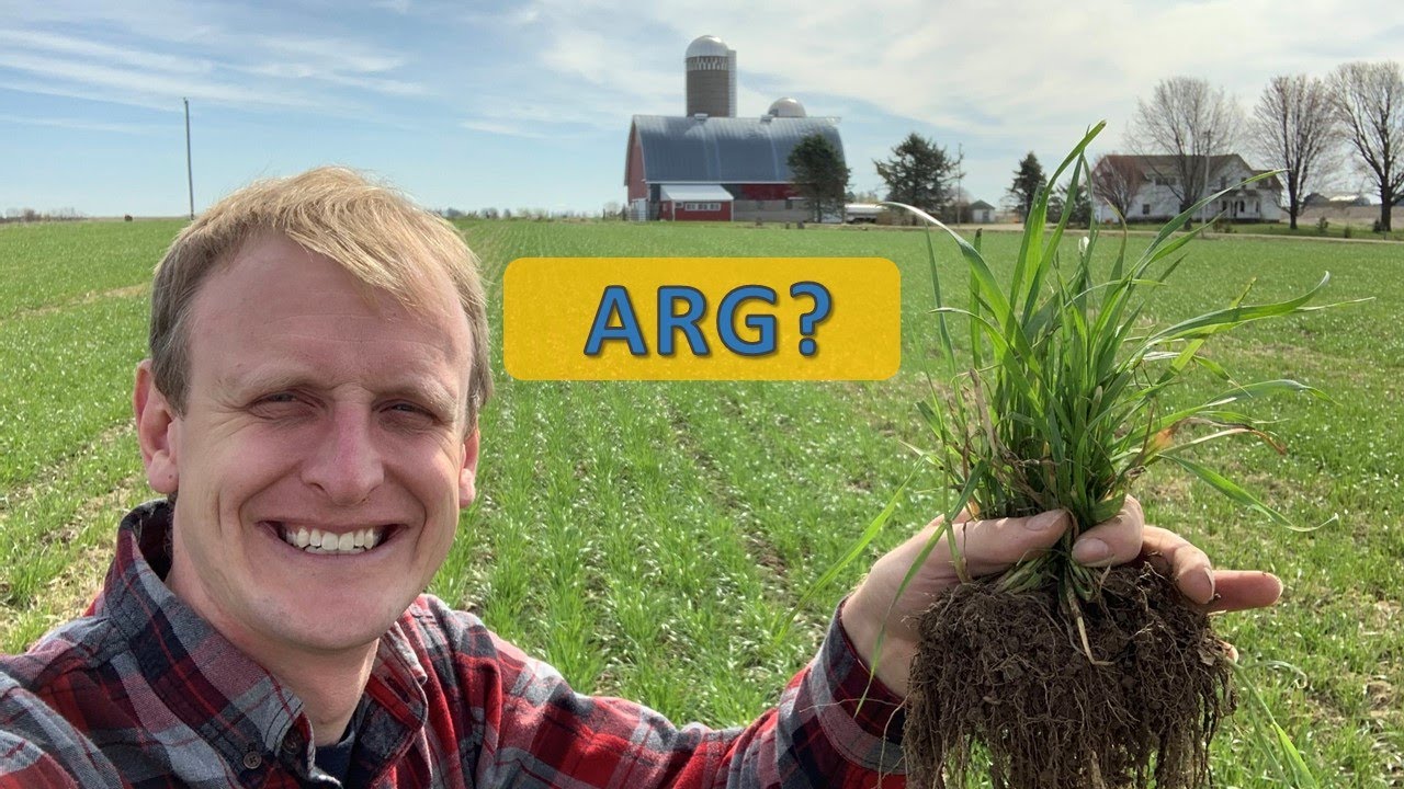 Annual Ryegrass?!