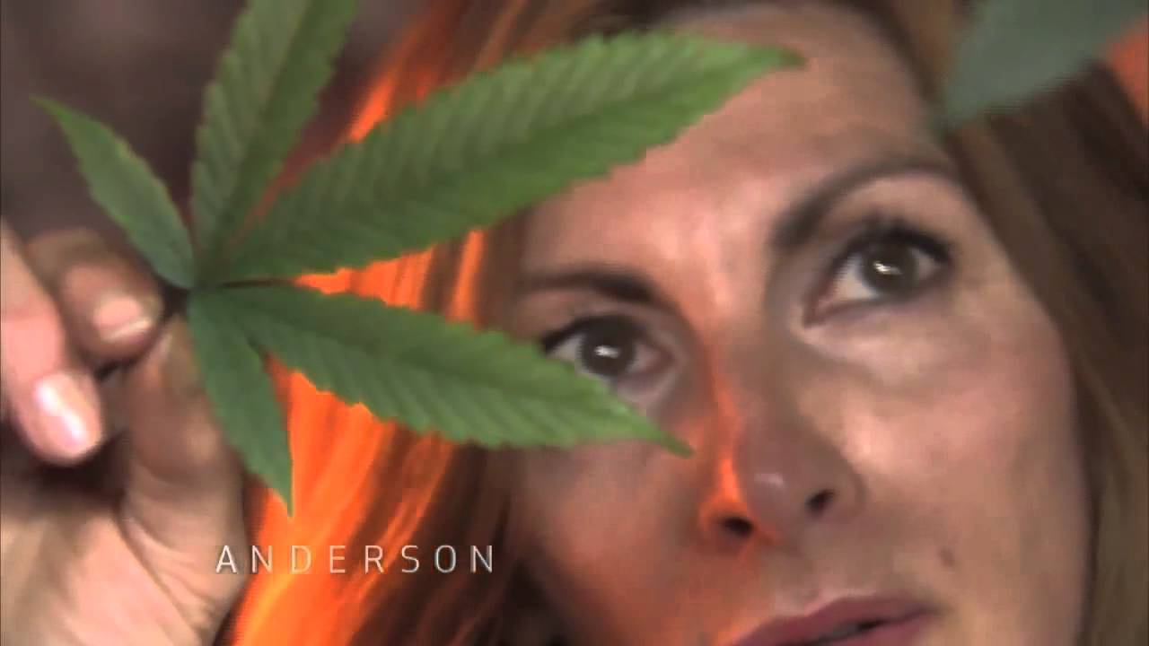 Mom Explains Selling Marijuana with Son