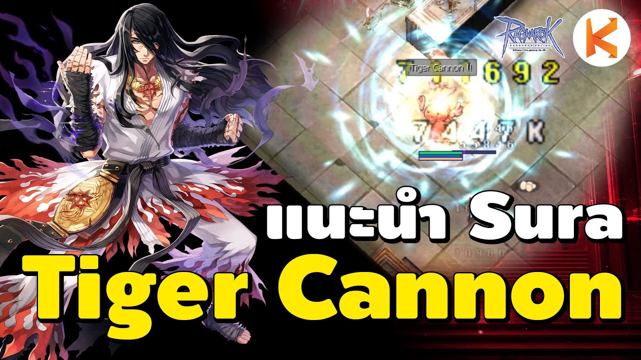 แนะนำแนวทาง Sura Tiger Cannon สายงบน้อย ดาเมจแรง เก็บเวลสบาย | Ro GGT