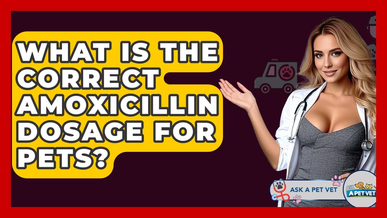 What Is The Correct Amoxicillin Dosage For Pets? - Ask A Pet Vet