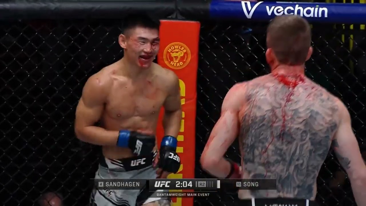 Cory Sandhagen VS Song Yadong Full Fight HD