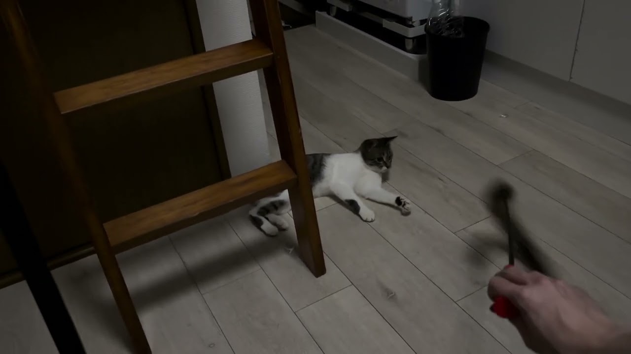 中級編