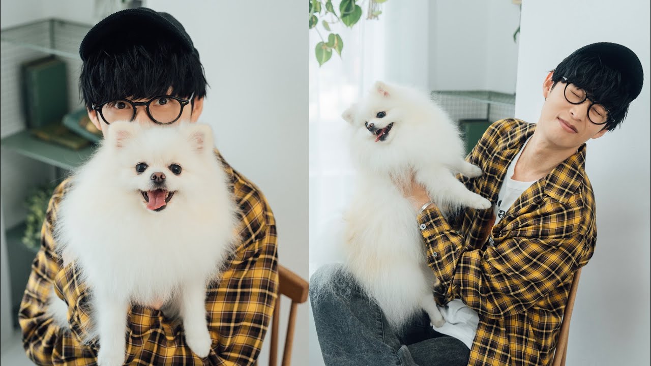 オーイシマサヨシさんと愛犬ろく君が遊びにきてくれました！（ポメラニアン｜月刊わんこ撮影オフショット）