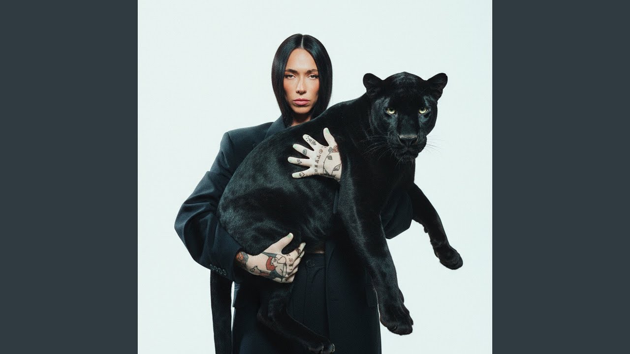 BB
