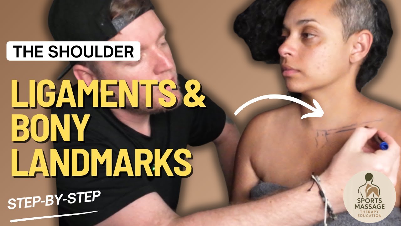 Shoulder Girdle Bony Landmarks & Ligaments | Sports Massage Tutorial