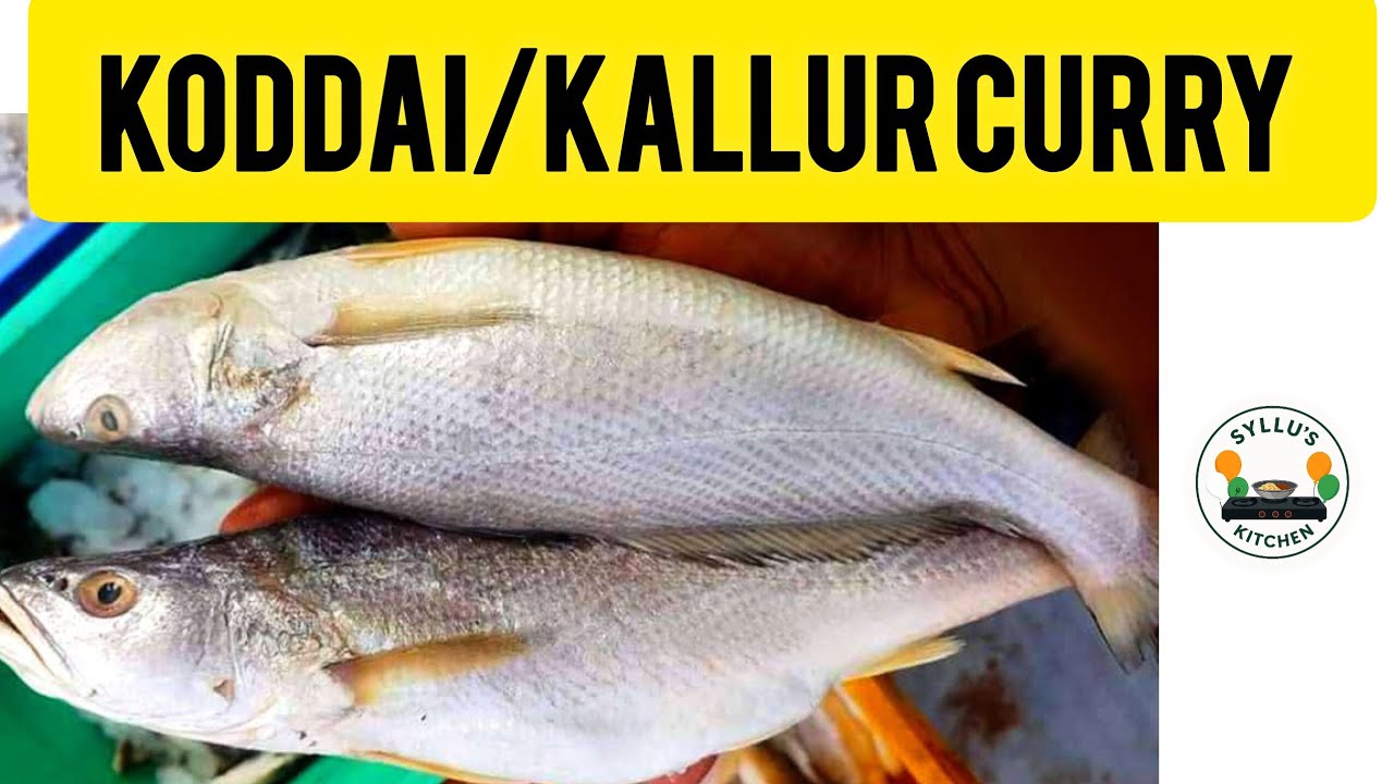 Coaker fish curry # ಕೊಡ್ಡಯಿ / ಕಲೂರು ಮೀನು ಸಾರು. 🐠🍲 # coastal fish curry viral recipe # Mangalore fish