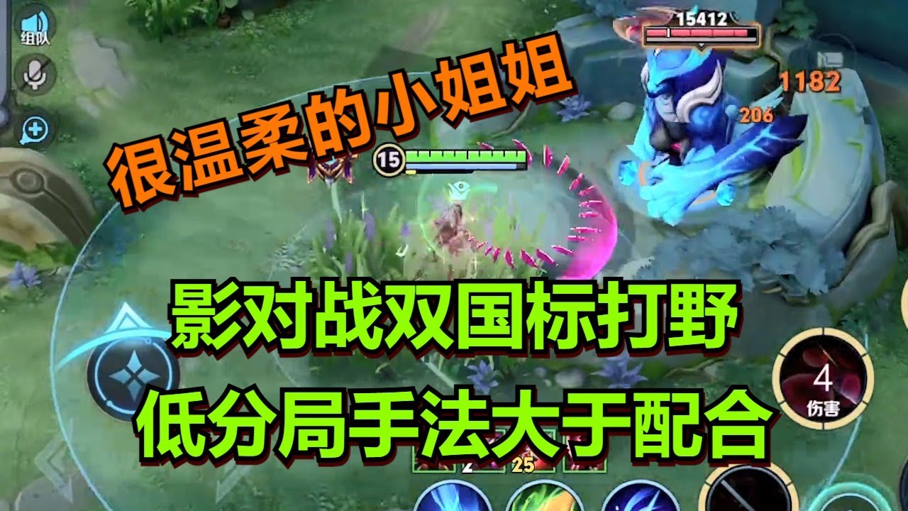 【王者荣耀骚白】影对战双国标打野 低分局手法大于配合