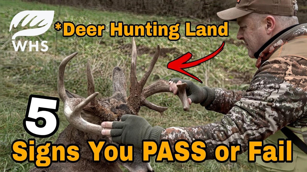 Does Your Deer Parcel Pass The Test?