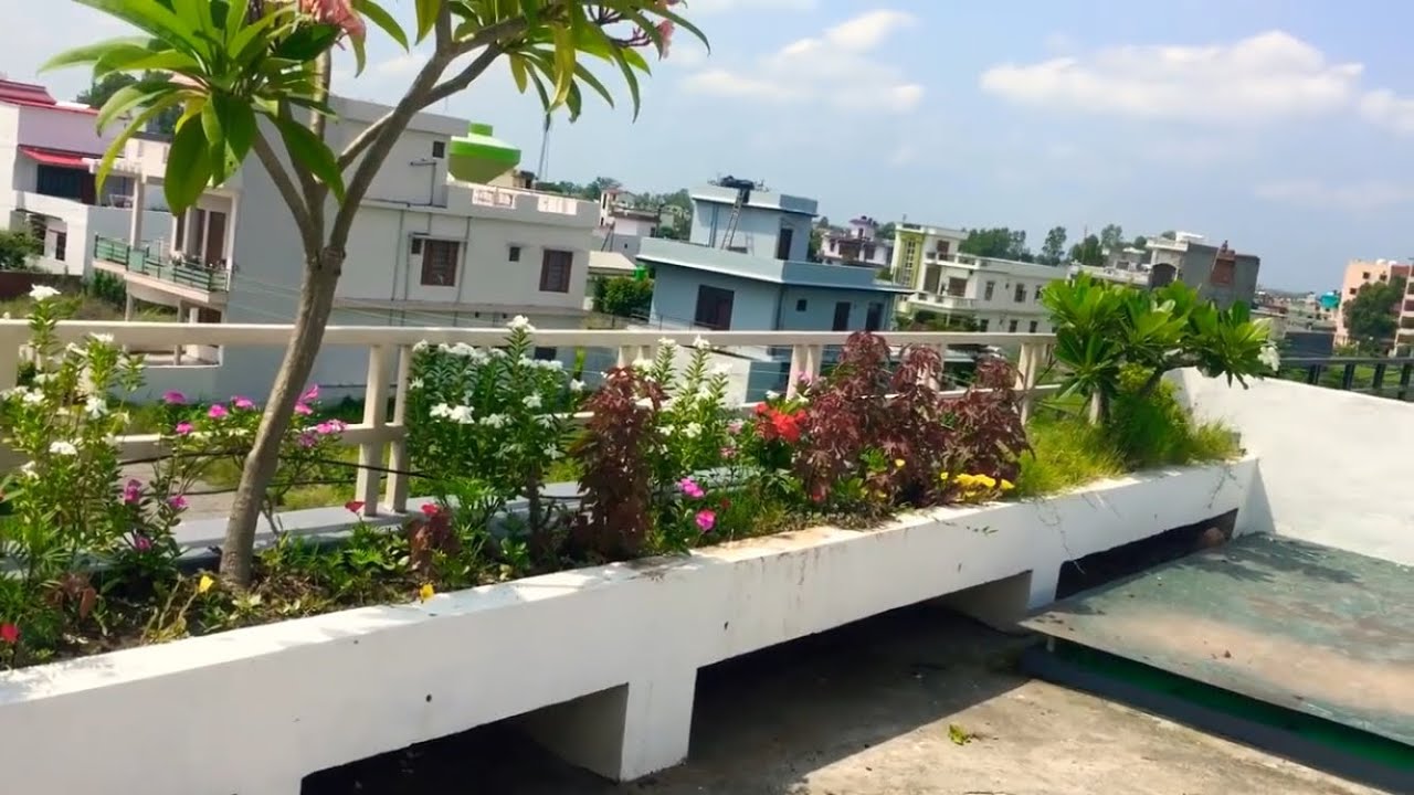 How to make terrace garden /terrace gardening ideas , सबसे आसान तरीक़ा छत पर गार्डन बनाने का