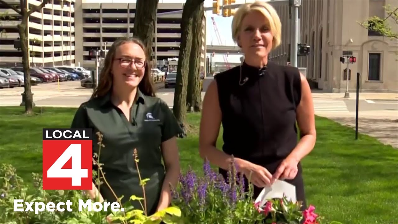 Gardening expert gives tips to keep plants healthy all summer in Metro Detroit