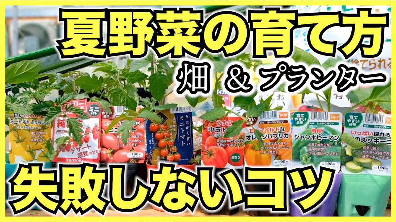 【家庭菜園】実がなる夏野菜の育て方【畑とプランター】ミニトマト,ナス,ズッキーニ,ピーマン,パプリカ,キュウリ,ゴーヤを家庭菜園で栽培しよう