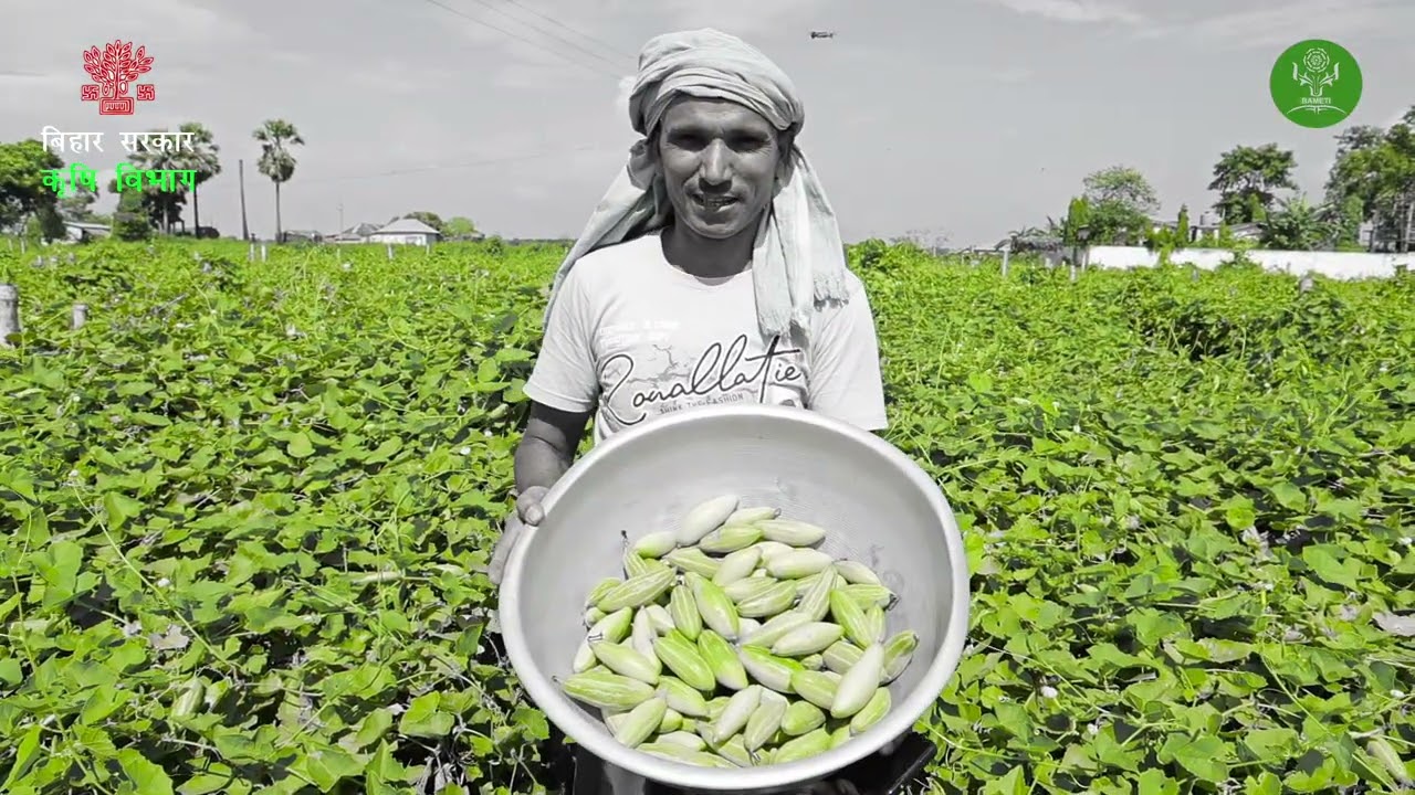 Parwal ki kheti