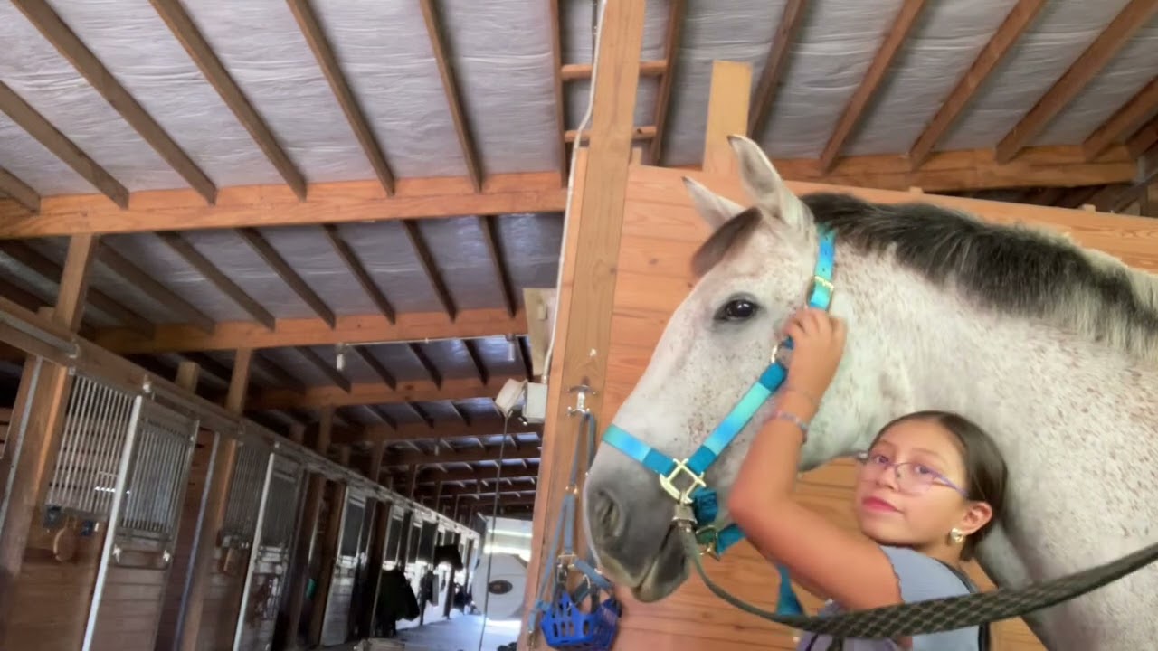 Tack up with me 🥰 #horse #equestrianjourney 