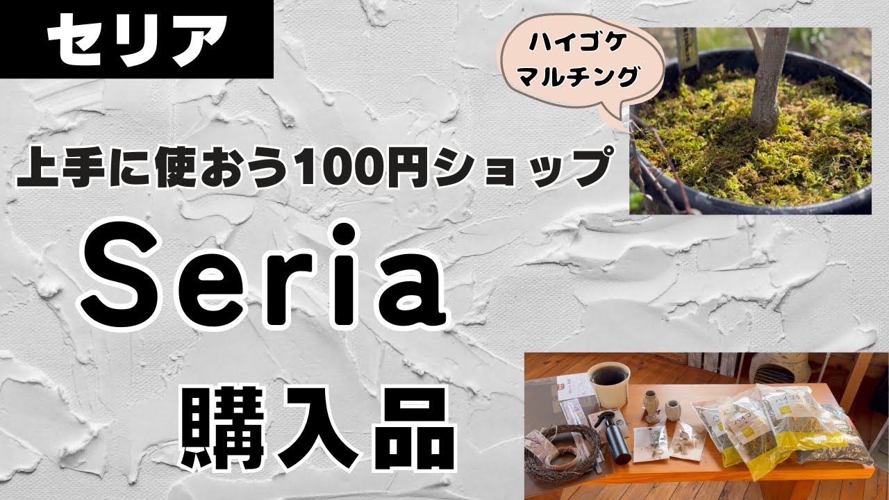 《100均セリア園芸用品》ほんとに100円！？いいモノいっぱい！使ってみたらとってもよかった／簡単消えない劣化しないフラワーラベル／ディスプレイ／ハイゴケ／話題のスリット鉢