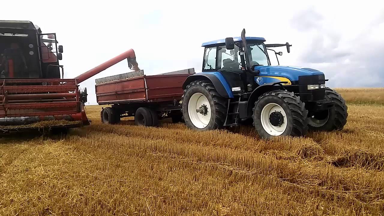 Żniwa 2016 Bizon rekord zo 58 New Holand TM 175 New Holand TVT 135