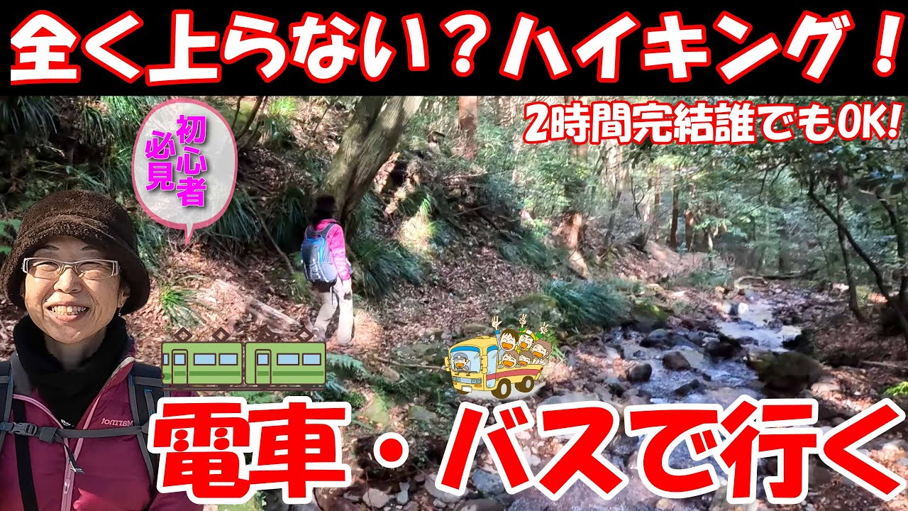 【上りゼロ！】ケーブルカーで絶景！下るだけ湯河原までハイキングの実況【超初心者向け】